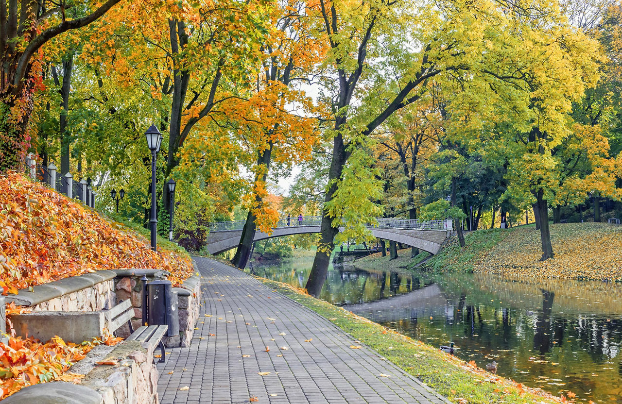 A walkway in a park during autumn in Riga, Latvia