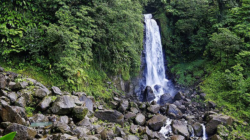 roseau dominica trafalgar falls freshwater pools jungle