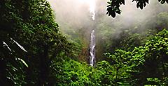 Lush Rainforest with Views of Trafalgar Falls, Roseau, Dominica