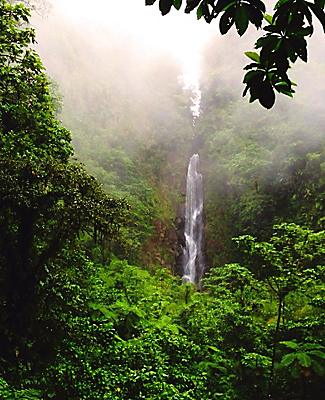 roseau dominica trafalgar falls jungle canopy