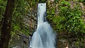 Man standing in a waterfall in El Yunque National Rainforest, San Juan, Puerto Rico