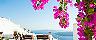 Santorini, Greece Terrace Flowers