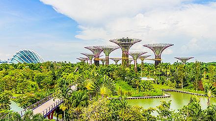 Day view of the Supertree Grove of the Gardens by the Bay in Singapore