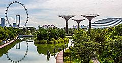 Garden by the Bay with Supertree & Flyer in Singapore. Asia.