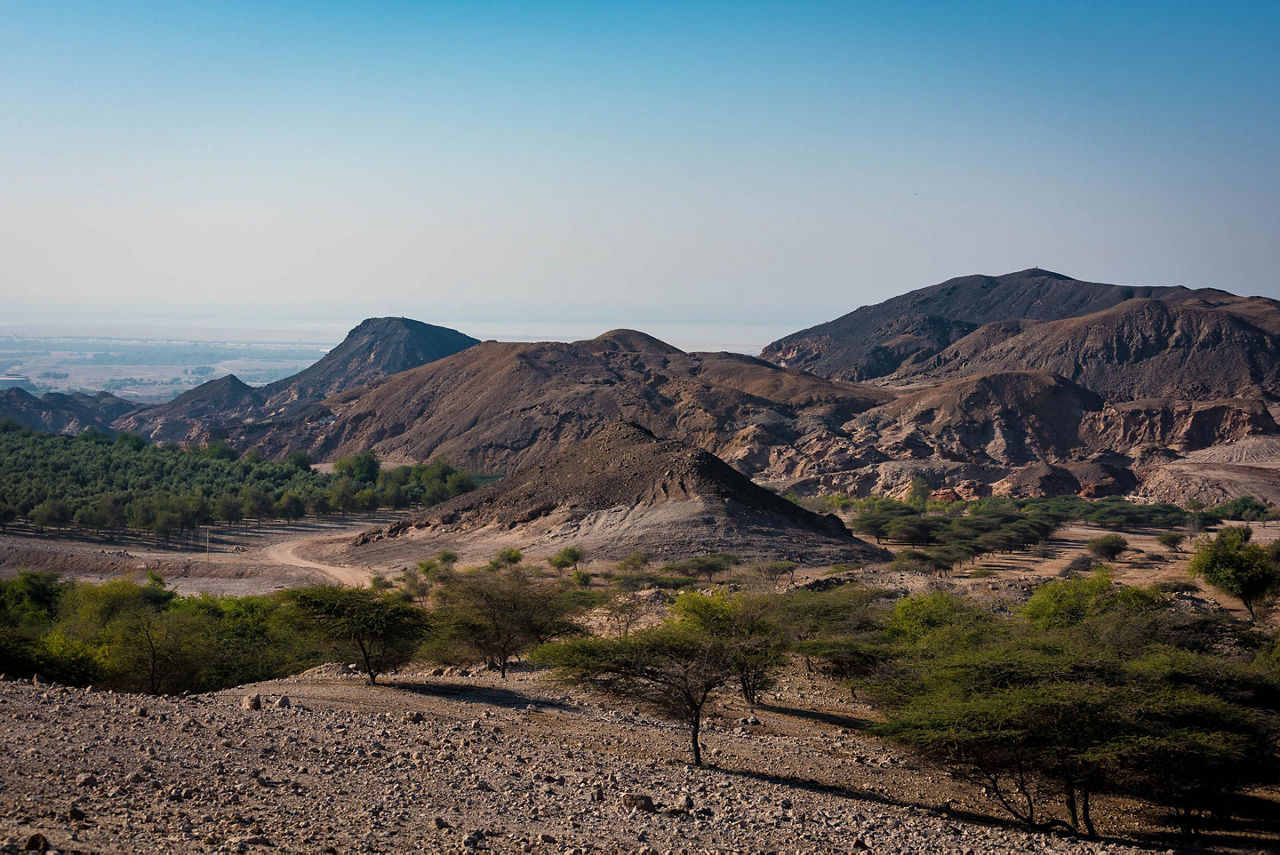 Landscape of trees and mountains in Sir Bani Yas, United Arab Emirates