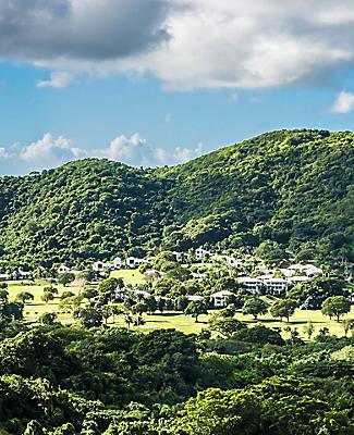View of the lush natural landscape in St. Croix
