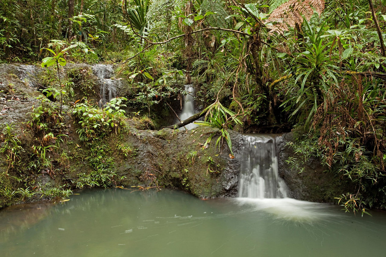 A small waterfall in a forest in Suva, Fiji