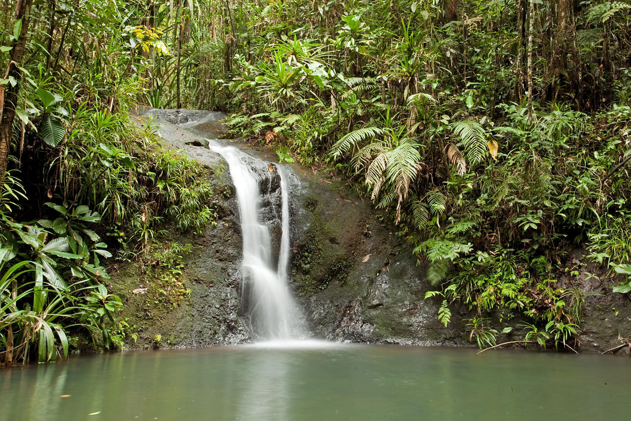 A waterfall in a forest in Suva, Fiji