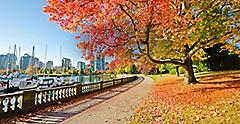 Vancouver British Columbia Stanley Park 