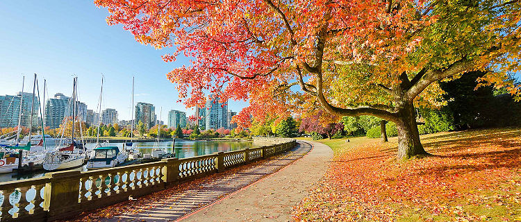 Stanley Park Urban Greenspace, Vancouver, British Columbia