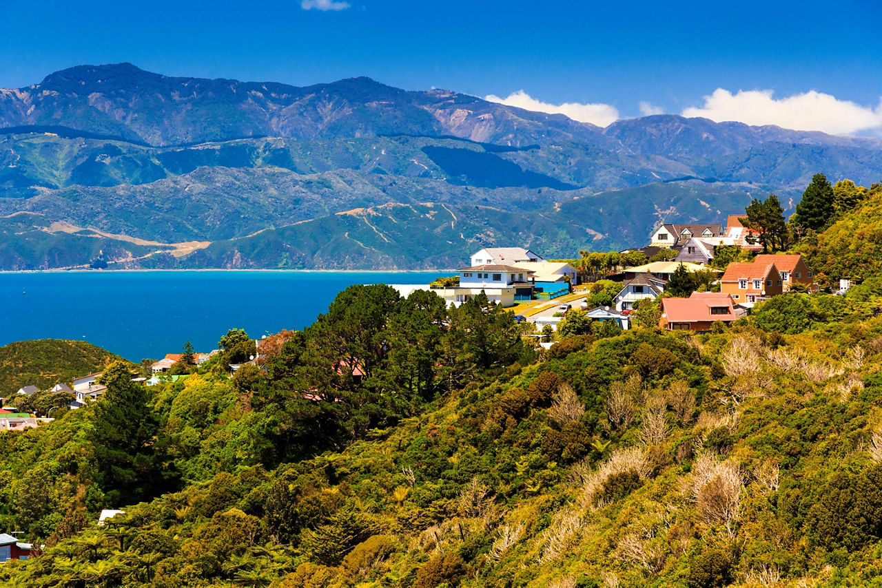 Hillside homes in Wellington, New Zealand