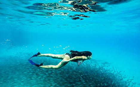 Underwater Girl Woman School of Fish Swimming Snorkelin, Willemstad, Curaçao,