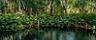 The Mangroves Perfect for Kayaking, Yucatan, Mexico 