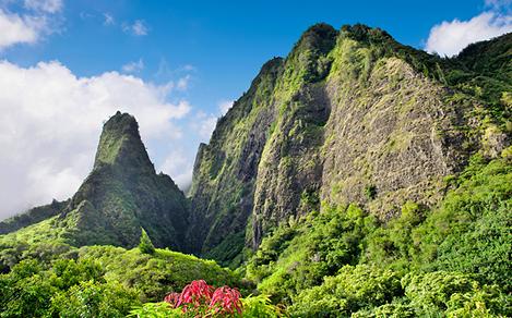 Maui, Hawaii Rainforest with Rocky Mountains Background