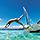 caribbean adventure jumping boat cruises