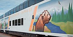 alaska cruise tours train