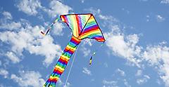 Kite flying high in the Australian sky. Australia