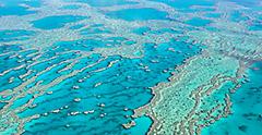The Great Barrier Reef is a breathtaking sight