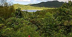 Grenada, Grand Etang Lake 