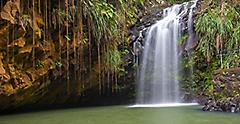 Grenada, Rainforest Waterfall