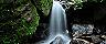 Puerto Rico, El Yunque Rainforest Waterfall