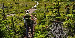 Hiker on Appalachian Trail in Maine