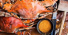 Maryland blue crabs with seafood