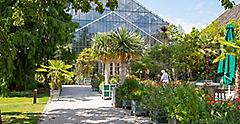 Hortus Botanicus of Leiden is the oldest botanical garden in the Netherlands. Europe.