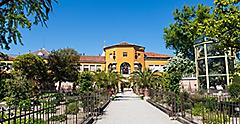 Padua Botanical Garden is the oldest botanical garden in the world. Italy.