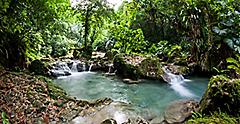 Waterfall streams in a botanical garden., Jamaica