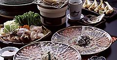 Japanese Blowfish Plate
