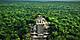 Aerial view of Calakmul ruins in the Mexican jungle. Mexico