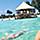 Perfect Day Coco Cay Floating Bar Swim Up Hero