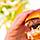 Perfect Day Coco Cay Snack Shack Hamburger Hero