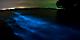 Puerto Rico Bioluminescent Bay Night Time