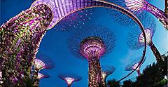 Singapore, Garden by the Bay at Night