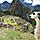 Llama tours in Peru while hiking Machu Picchu
