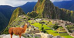 Machu Picchu Hiking with Llama in Peru