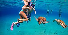Curacao Snorkeling with the Turtles