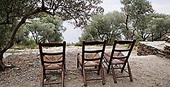 Three chairs in front of olive trees in the Salvador Dali Garden. Spain.
