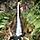 Del Toro Waterfall is one of the tallest waterfalls in Costa Rica. 