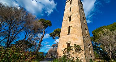 Eden Australia Boyd Tower Close-Up