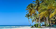 Sandy Caribbean Beach with Coconut Palm Trees and Blue Sea. Saona Island