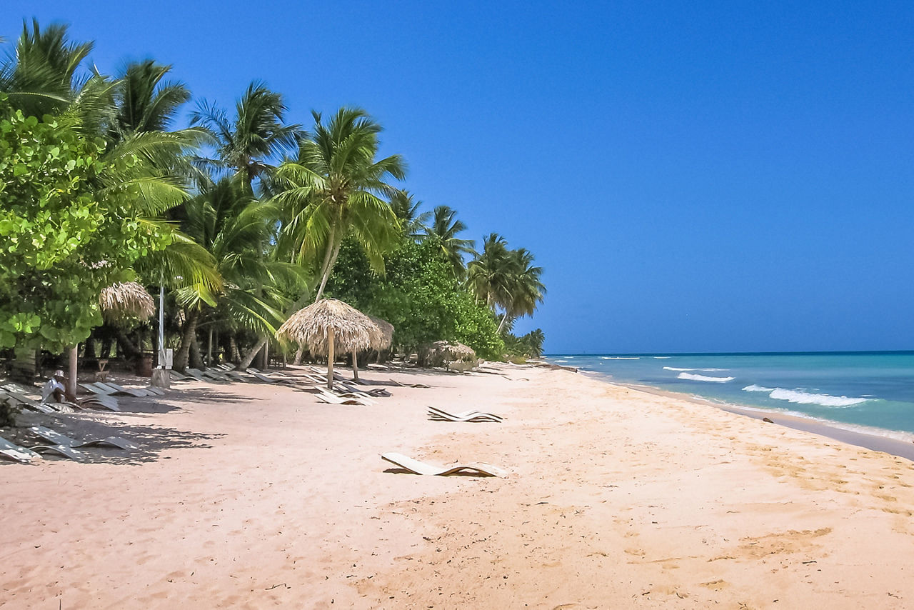 Coconut palms on popular Canto de la Playa in Saona Island