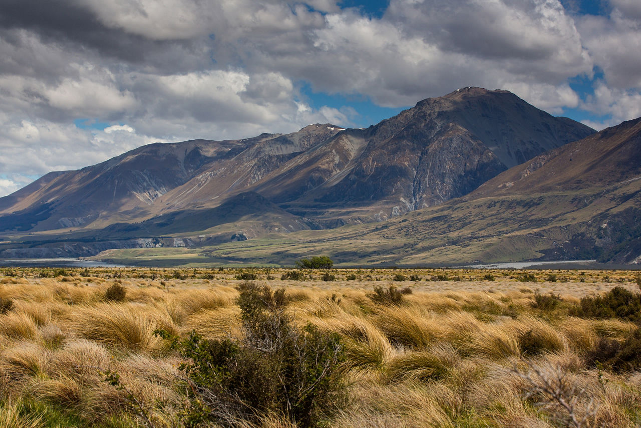 New Zealand Christchurch Mountain Landscape 
