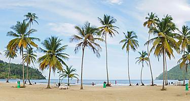 Ocean and Palm Trees at Maracas Beach in Trinidad and Tobago