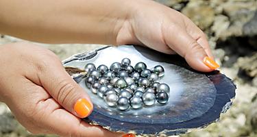 Tahitian Black Pearls