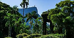 Beautiful Botanic Garden - Rio de Janeiro