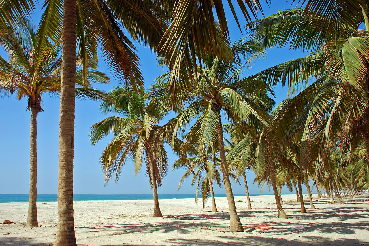 Salalah coast, Oman, Asia, Arabian Peninsula