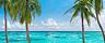 Palm trees beach Vacation HP Jumbotron 1920 1080 FAM NF B 2x
